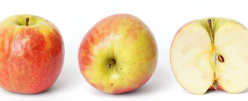 Apple tree